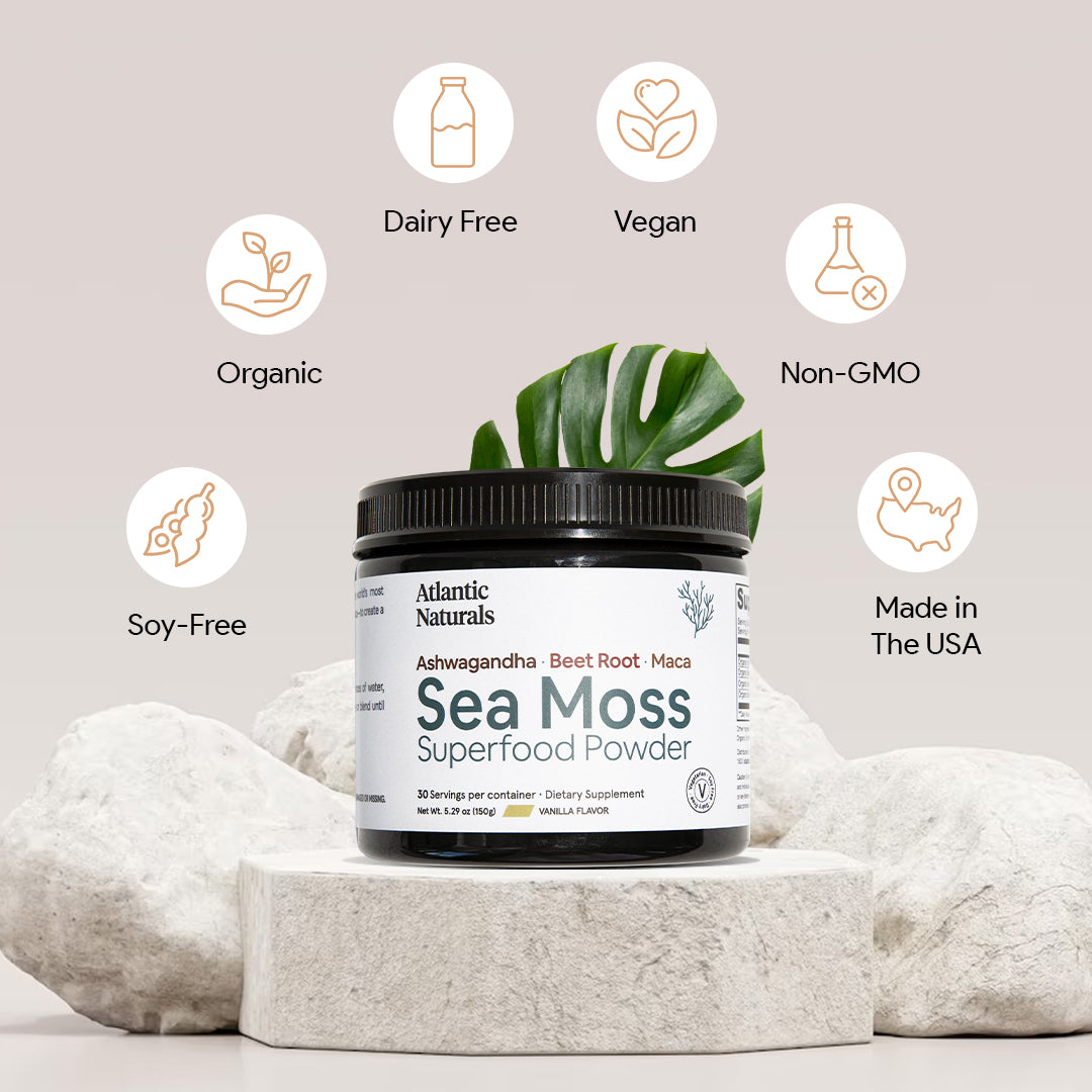 Organic Sea Moss Superfood Powder with Ashwagandha, Beet Root and Maca | Vanilla Flavor