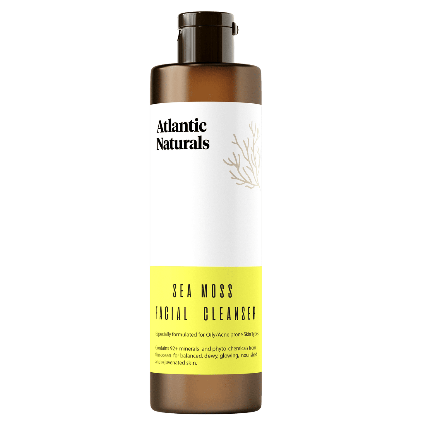 Nettoyant visage à la mousse de mer 4 oz