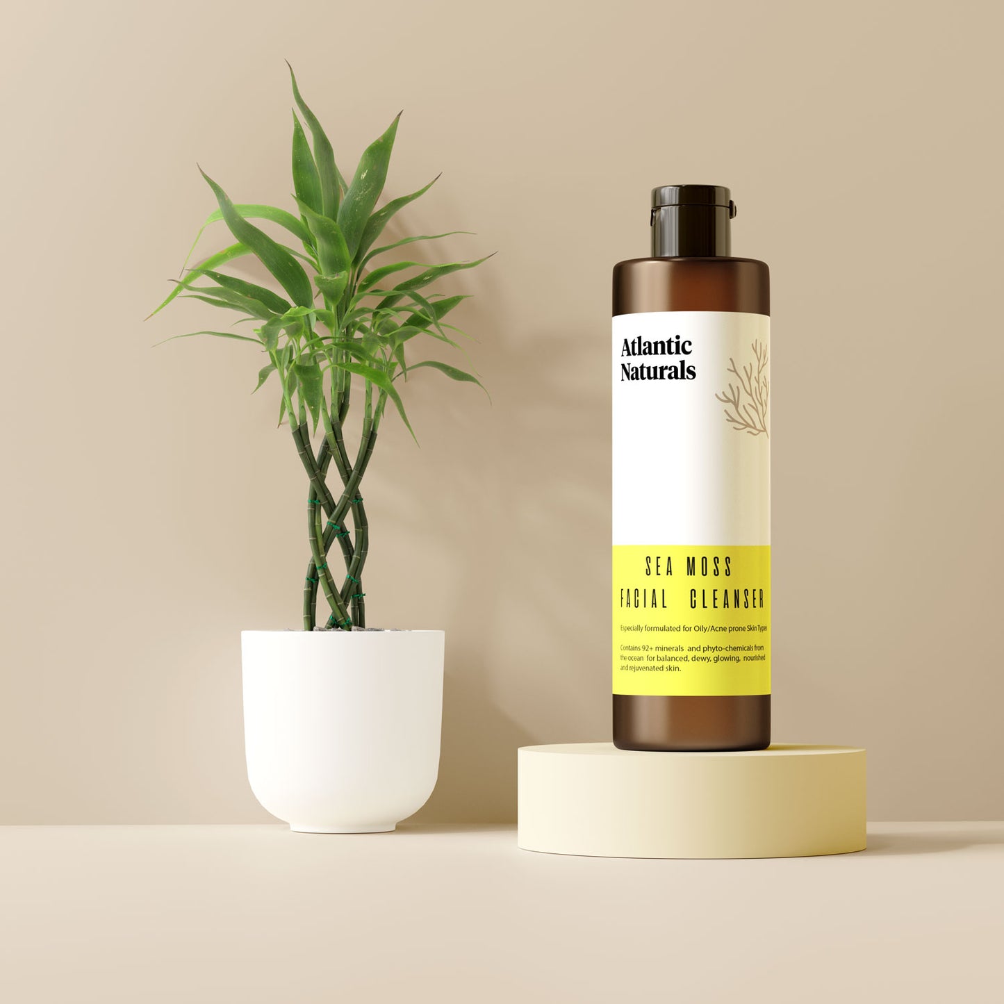 Nettoyant visage à la mousse de mer 4 oz
