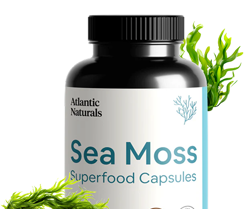 Unlock the Power of Sea Moss, Nature’s Ultimate Superfood