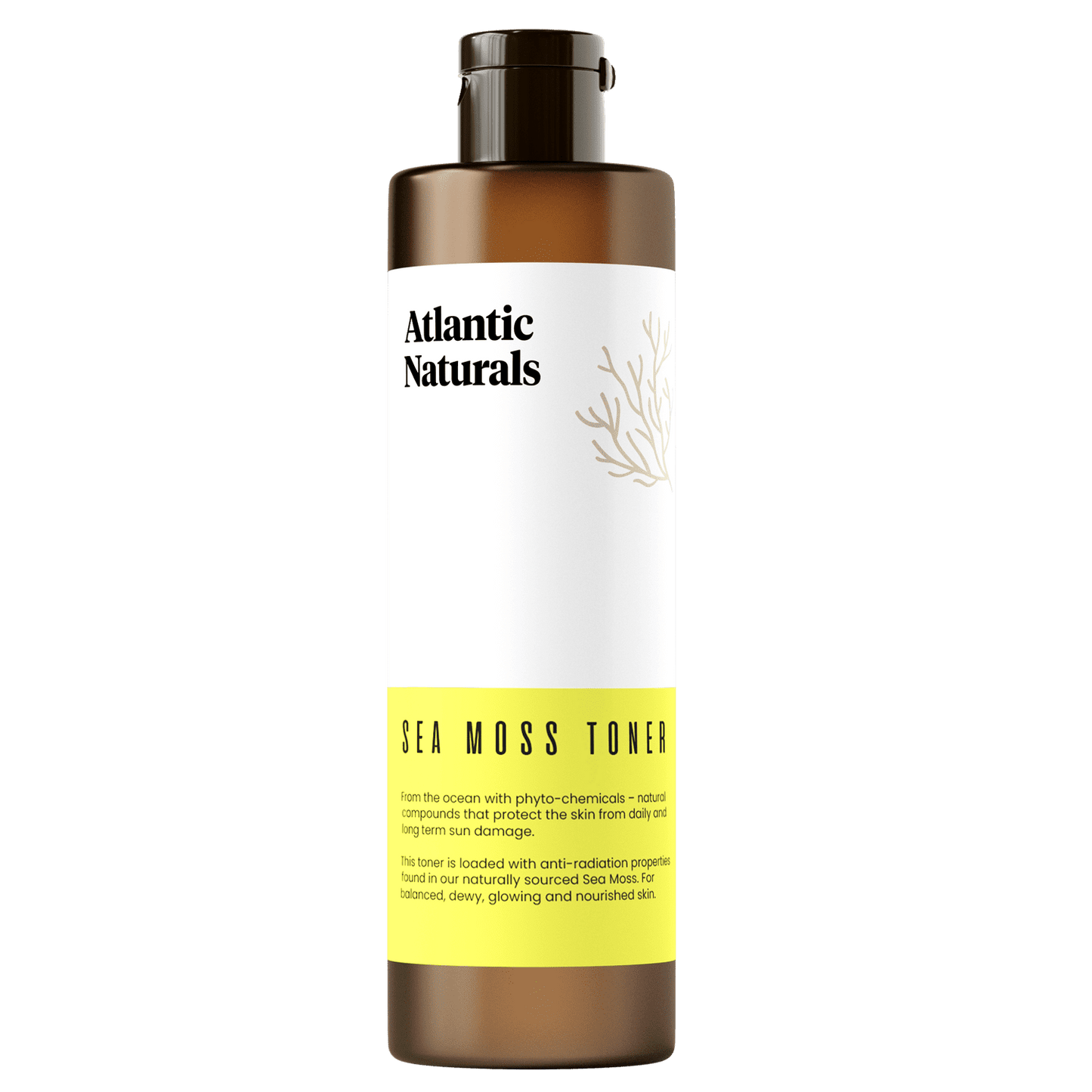Sea Moss Toner 4 oz