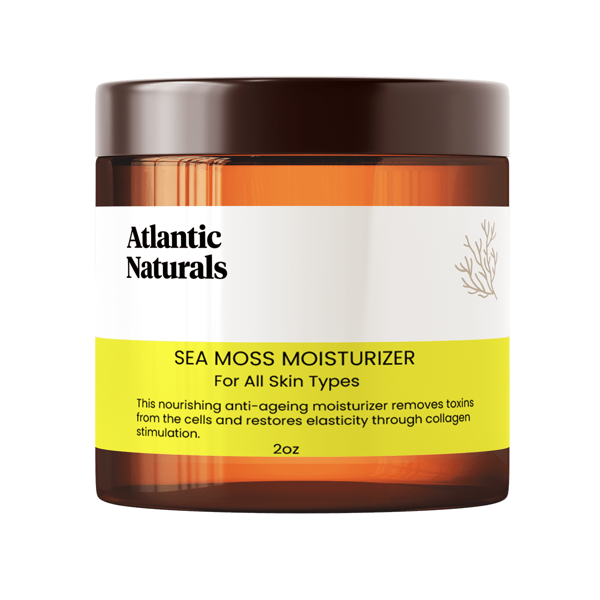 Sea Moss Moisturizer (2 oz)