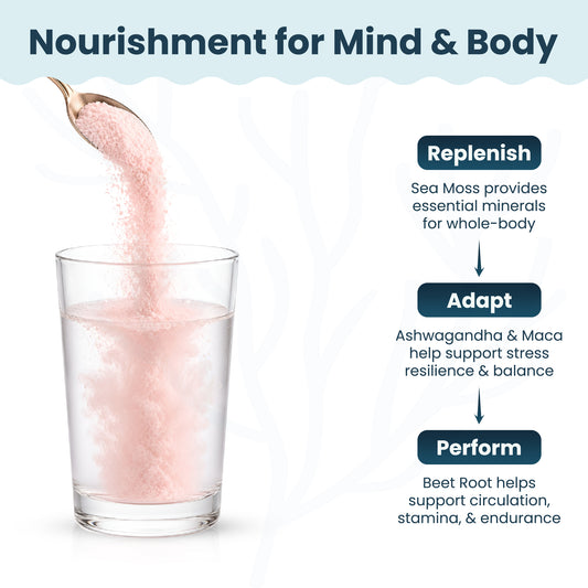 Organic Sea Moss Superfood Powder with Ashwagandha, Beet Root & Maca