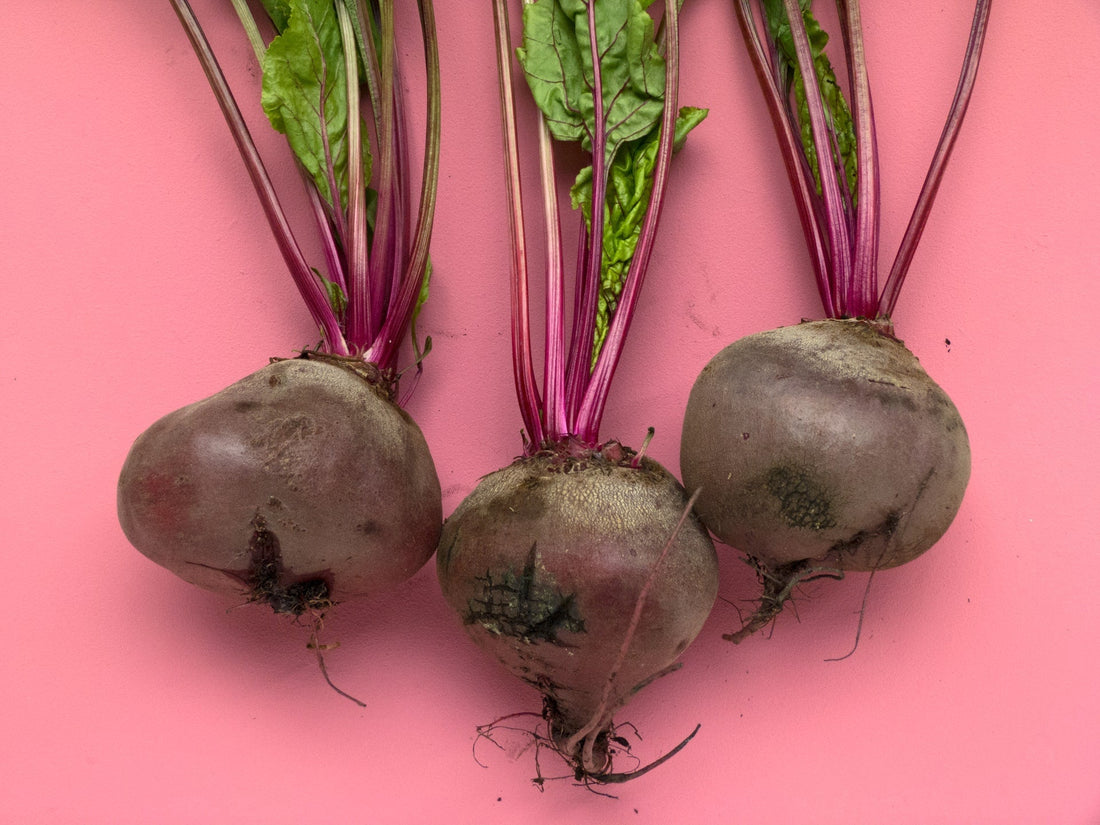 Beet Root Benefits: What the Science Shows – Atlantic Naturals