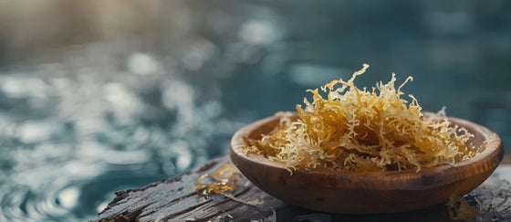 Is Irish Moss the Same as Sea Moss