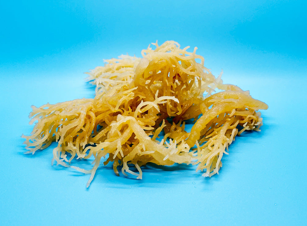 7 Science-Backed Benefits of Sea Moss