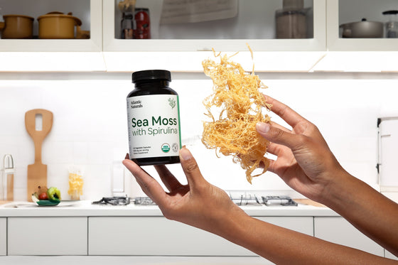 Unveiling Power of the Ocean: Is Sea Moss Good For Bone Health?