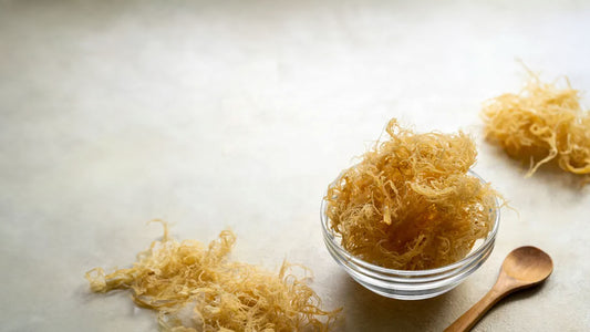 The Marvel of the Ocean: Unveiling the Origins of Sea Moss