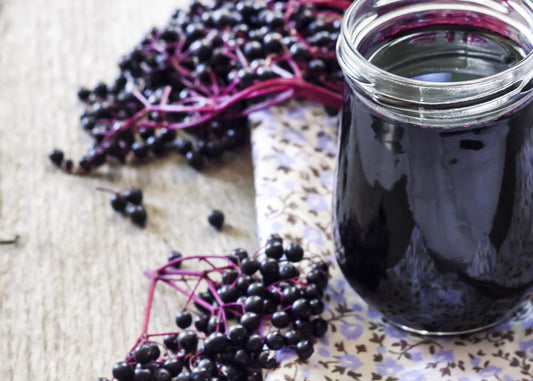 Is Elderberry good for the Immune System?