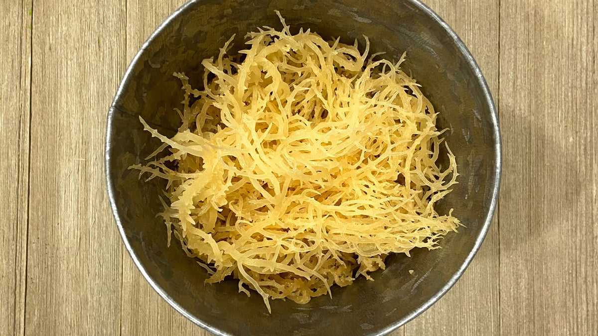 Sea Moss Gel: Everything You Need to Know!