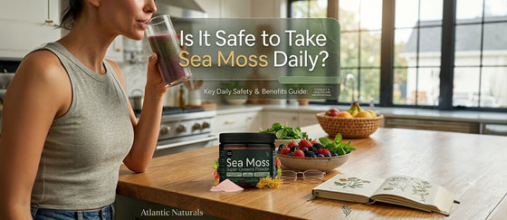 Is It Safe to Take Sea Moss Daily? Benefits, Risks & Safe Dosage (2026)