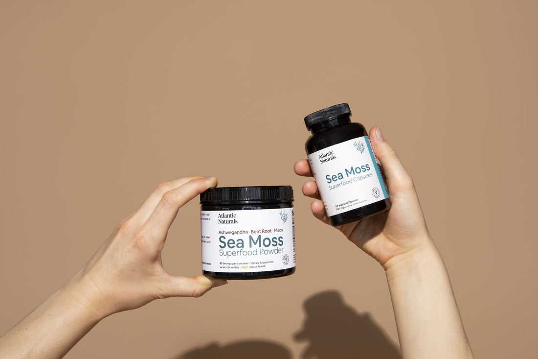 Sea Moss Benefits for Men | Any man can benefit from sea moss. Here’s why.