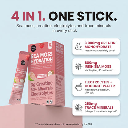 Sea Moss Hydration one stick supplement packaging shown on a light blue background with feature callouts. The box and tube are pink and white with strawberry graphics, and the text highlights creatine monohydrate, Irish sea moss, electrolytes, and trace minerals. morning glow