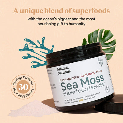 Poudre de superaliments de mousse de mer biologique avec Ashwagandha, racine de betterave et maca |* NOUVELLE saveur de vanille AMÉLIORÉE