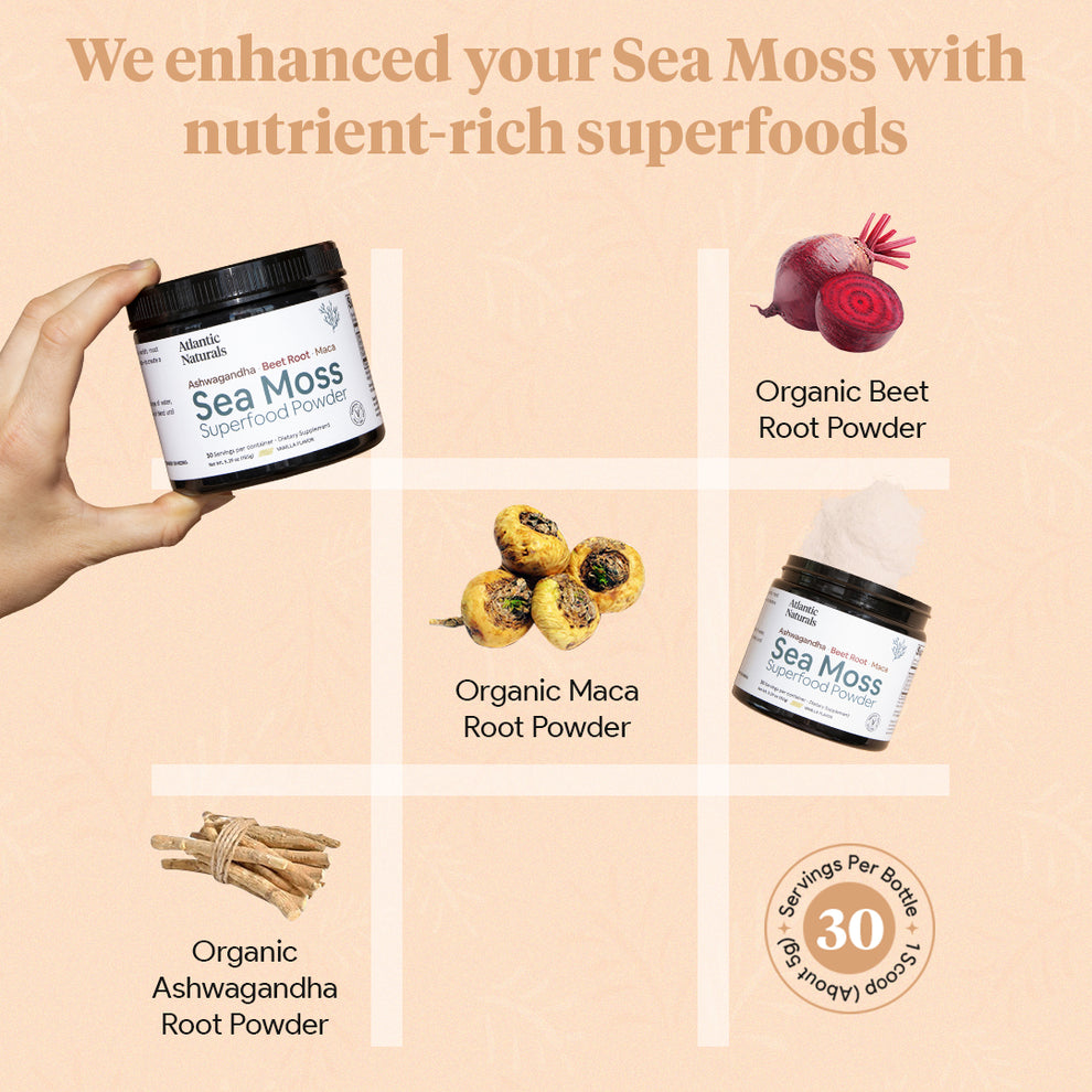 Organic Sea Moss Superfood Powder with Ashwagandha, Beet Root and Maca