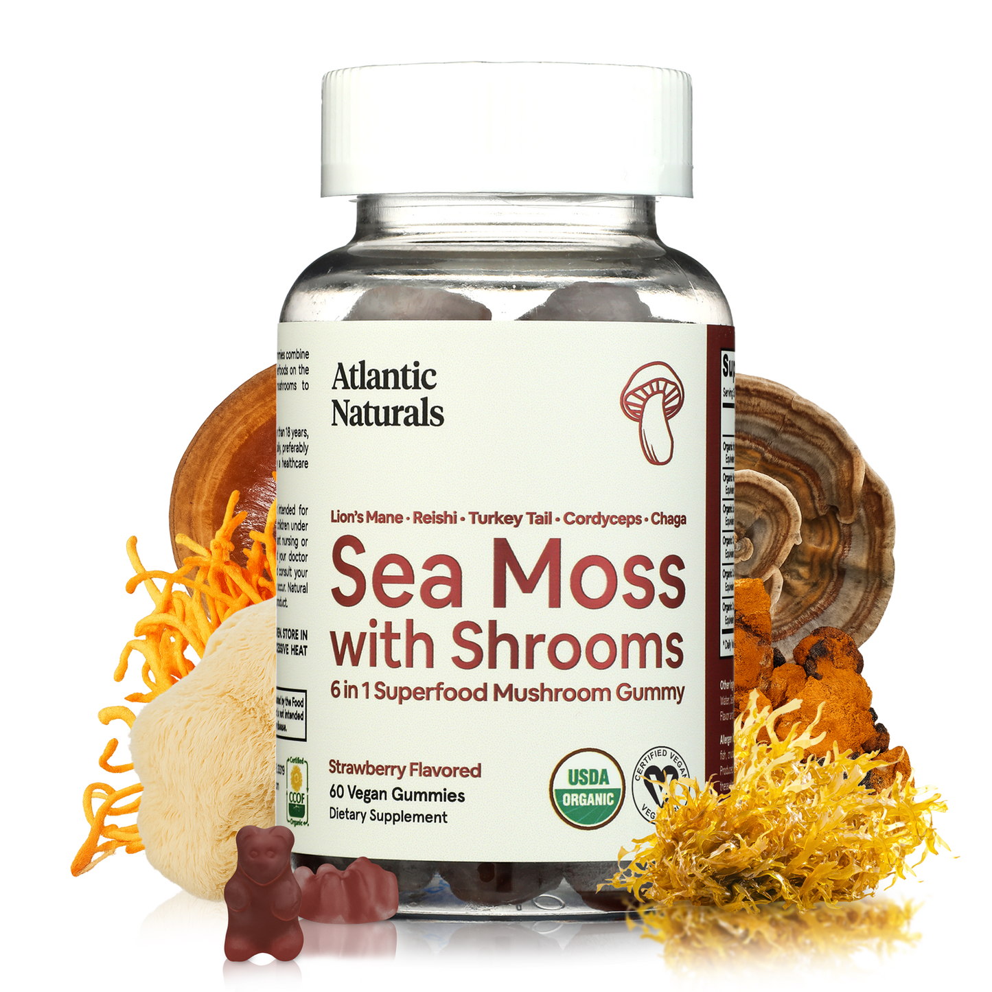 Mousse de mer aux champignons 6 en 1
