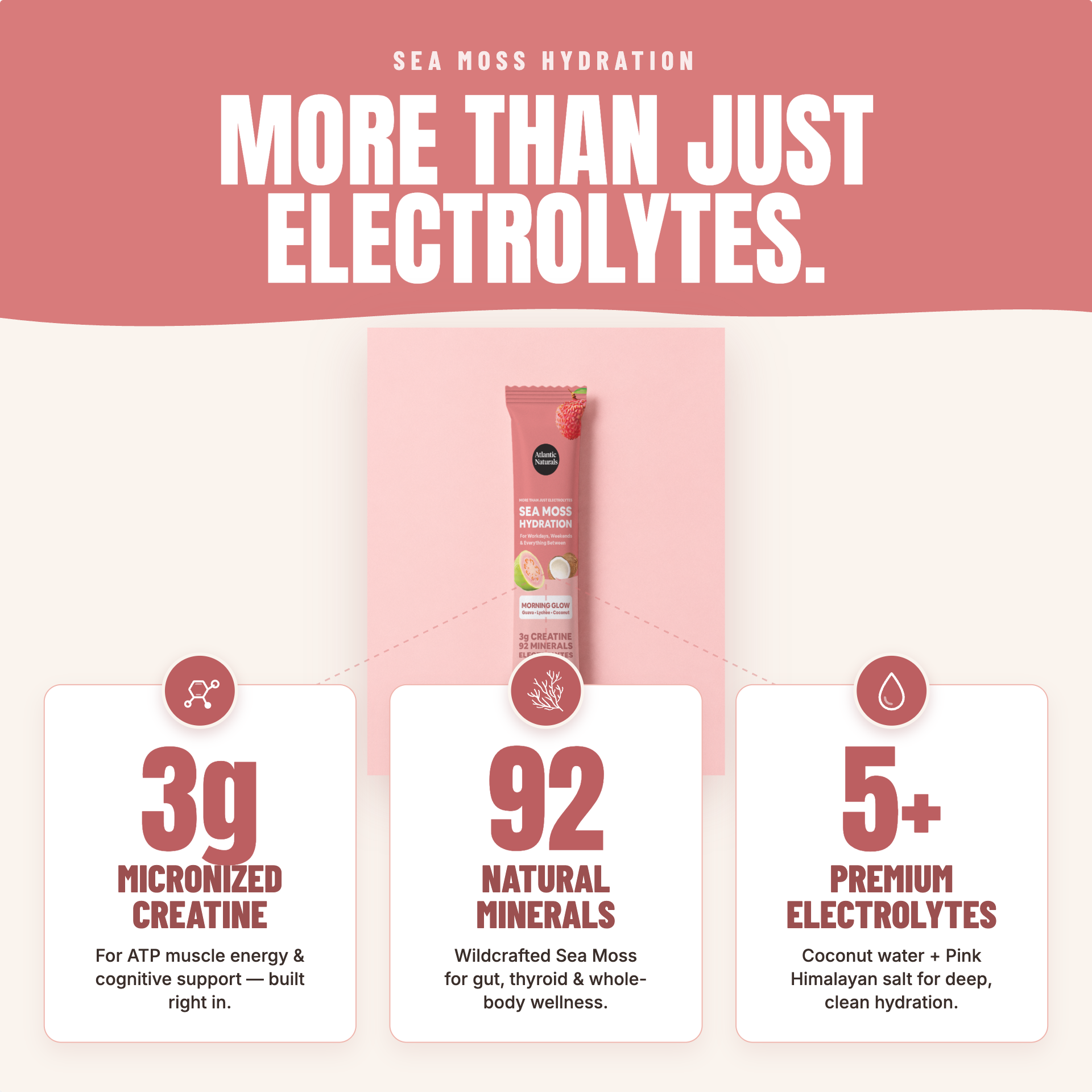 Promotional graphic for Sea Moss Hydration electrolyte powder. A pink squeeze tube labeled Sea Moss Hydration Electrolyte is centered against a pale pink background, with three white callout cards below highlighting key ingredients: 3g micronized creatine, 92 natural minerals, and 5+ premium electrolytes. morning glow