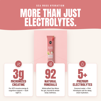 Promotional graphic for Sea Moss Hydration electrolyte powder. A pink squeeze tube labeled Sea Moss Hydration Electrolyte is centered against a pale pink background, with three white callout cards below highlighting key ingredients: 3g micronized creatine, 92 natural minerals, and 5+ premium electrolytes. morning glow
