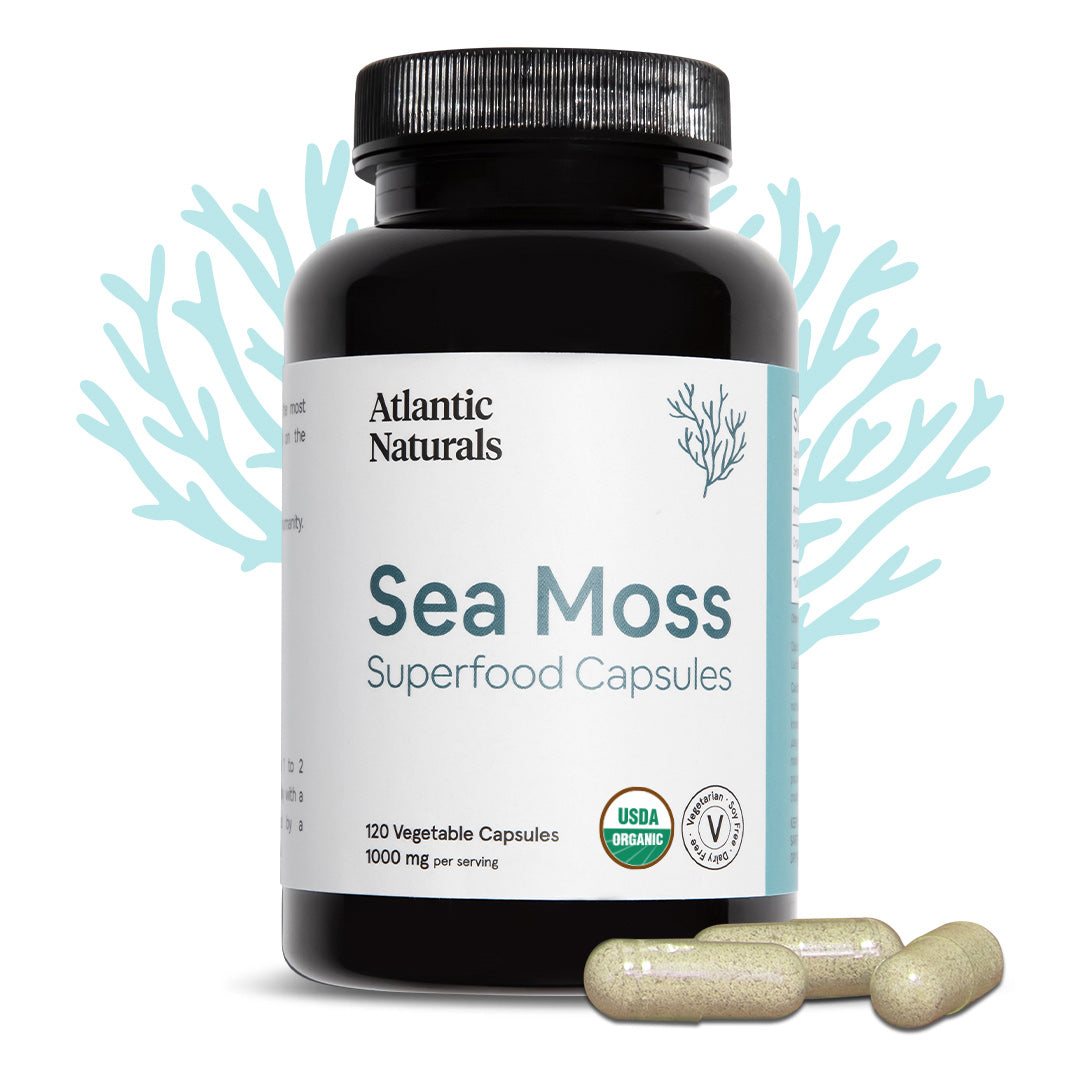 Capsules de mousse de mer biologique | Végétalien 1000mg