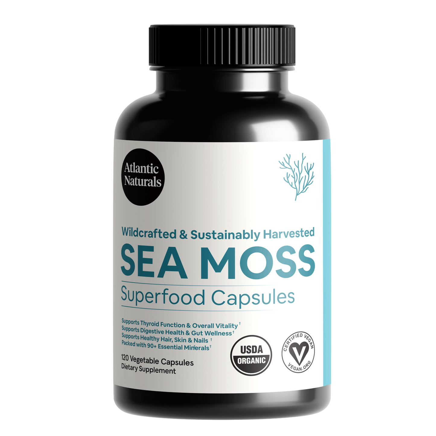 Cápsulas de musgo de mar orgánico | Vegano 1000mg