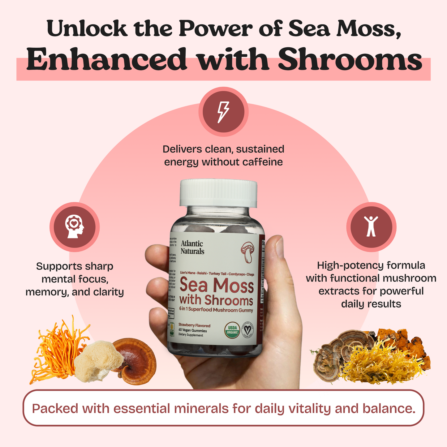 Mousse de mer aux champignons 6 en 1
