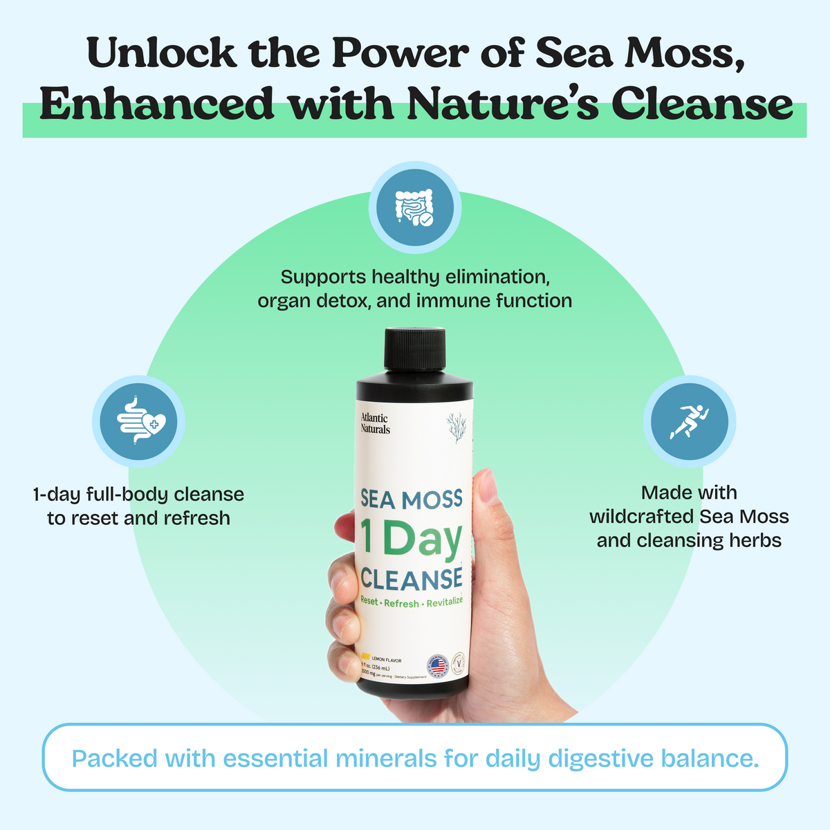 Sea Moss 1 Day Cleanse, Full Body Detox – Atlantic Naturals