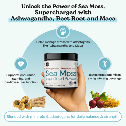 Superalimento en polvo orgánico de musgo marino con Ashwagandha, raíz de remolacha y maca |* NUEVO sabor a vainilla MEJORADO