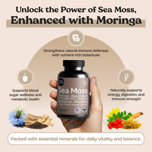 Mousse de mer au moringa, huile de nigelle et ashwagandha, capsules 9 en 1