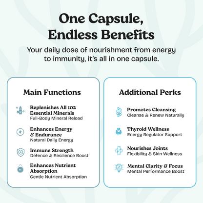 Sea Moss with Shilajit 5 in 1 Capsules