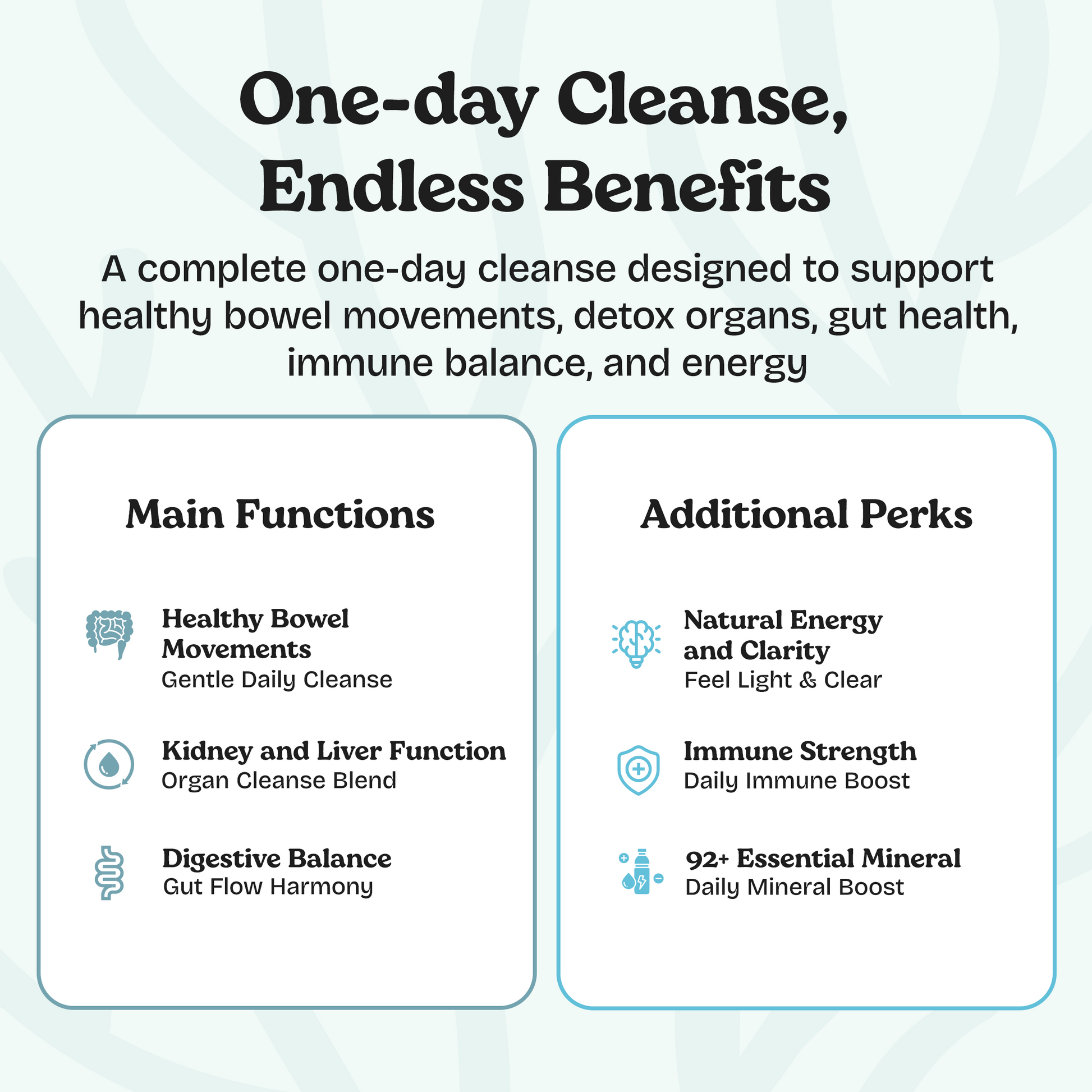 Sea Moss 1 Day Cleanse | Lemon Flavor