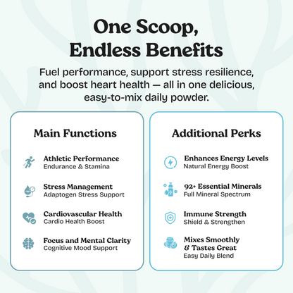Superalimento en polvo orgánico de musgo marino con Ashwagandha, raíz de remolacha y maca |* NUEVO sabor a vainilla MEJORADO