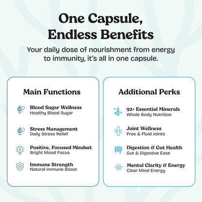 Close-up of Atlantic Naturals Sea Moss Capsules