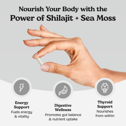 Sea Moss with Shilajit 5 in 1 Capsules