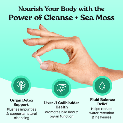 Capsules nettoyantes pour les reins, le foie et la vésicule biliaire Sea Moss 7 jours