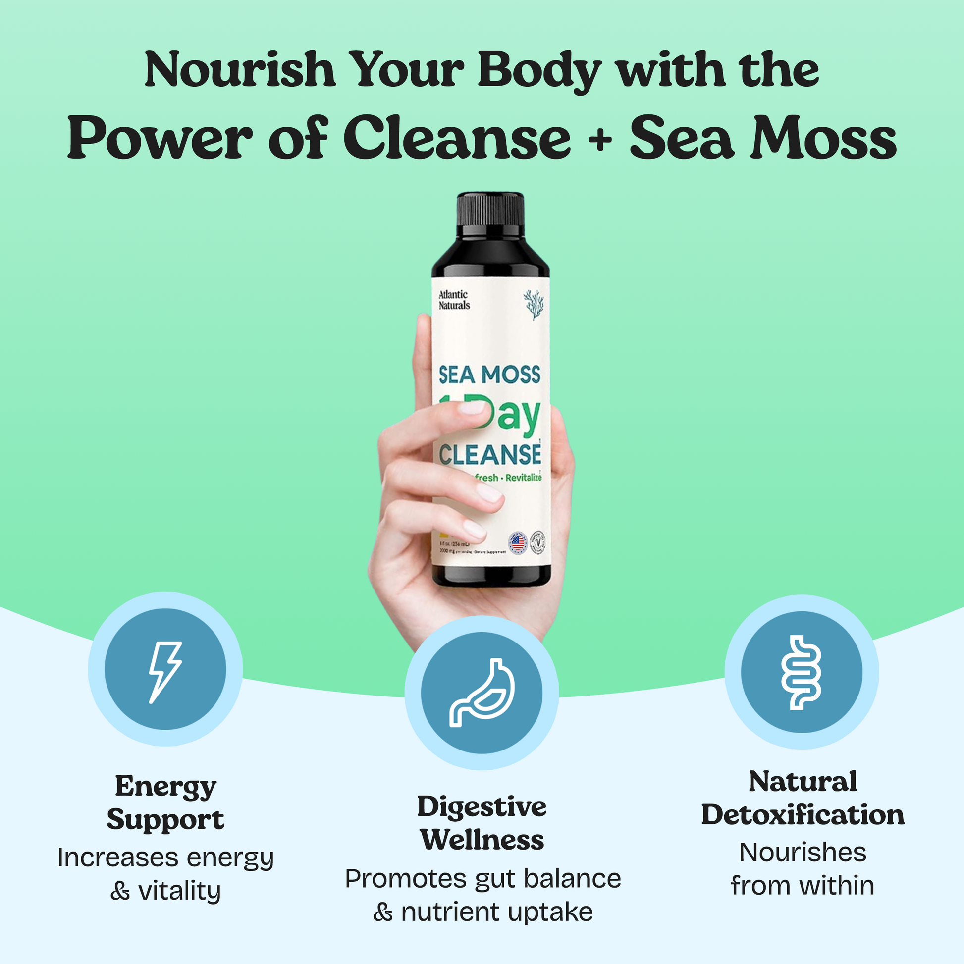 Sea Moss 1 Day Cleanse | Lemon Flavor