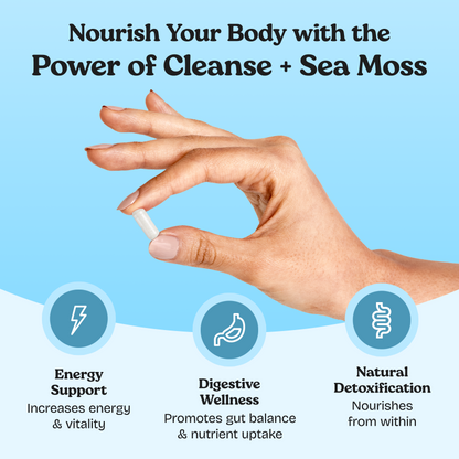 Capsules nettoyantes pour le côlon et les intestins Sea Moss 7 jours