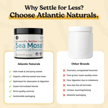 Superalimento en polvo orgánico de musgo marino con Ashwagandha, raíz de remolacha y maca |* NUEVO sabor a vainilla MEJORADO