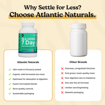 Capsules nettoyantes pour les reins, le foie et la vésicule biliaire Sea Moss 7 jours