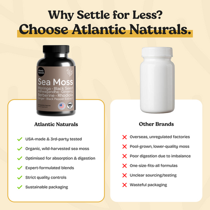 Ingredients of Atlantic Naturals Sea Moss Capsules