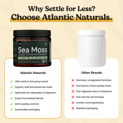 Ingredients of Sea Moss Super Greens Powder