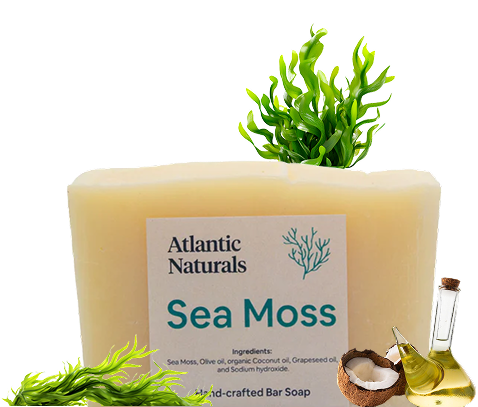 Unlock the Power of Sea Moss, Nature’s Ultimate Superfood