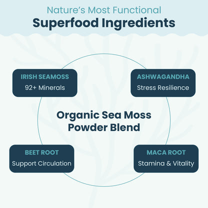 Organic Sea Moss Superfood Powder with Ashwagandha, Beet Root & Maca