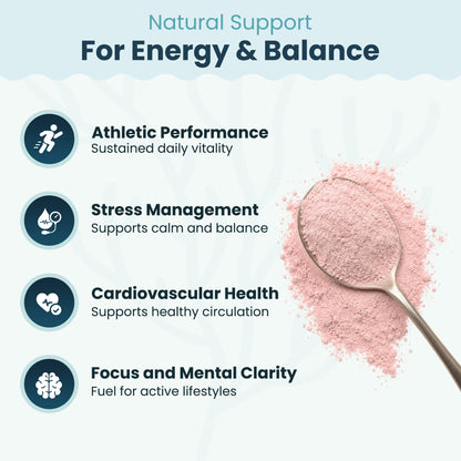 Organic Sea Moss Superfood Powder with Ashwagandha, Beet Root & Maca