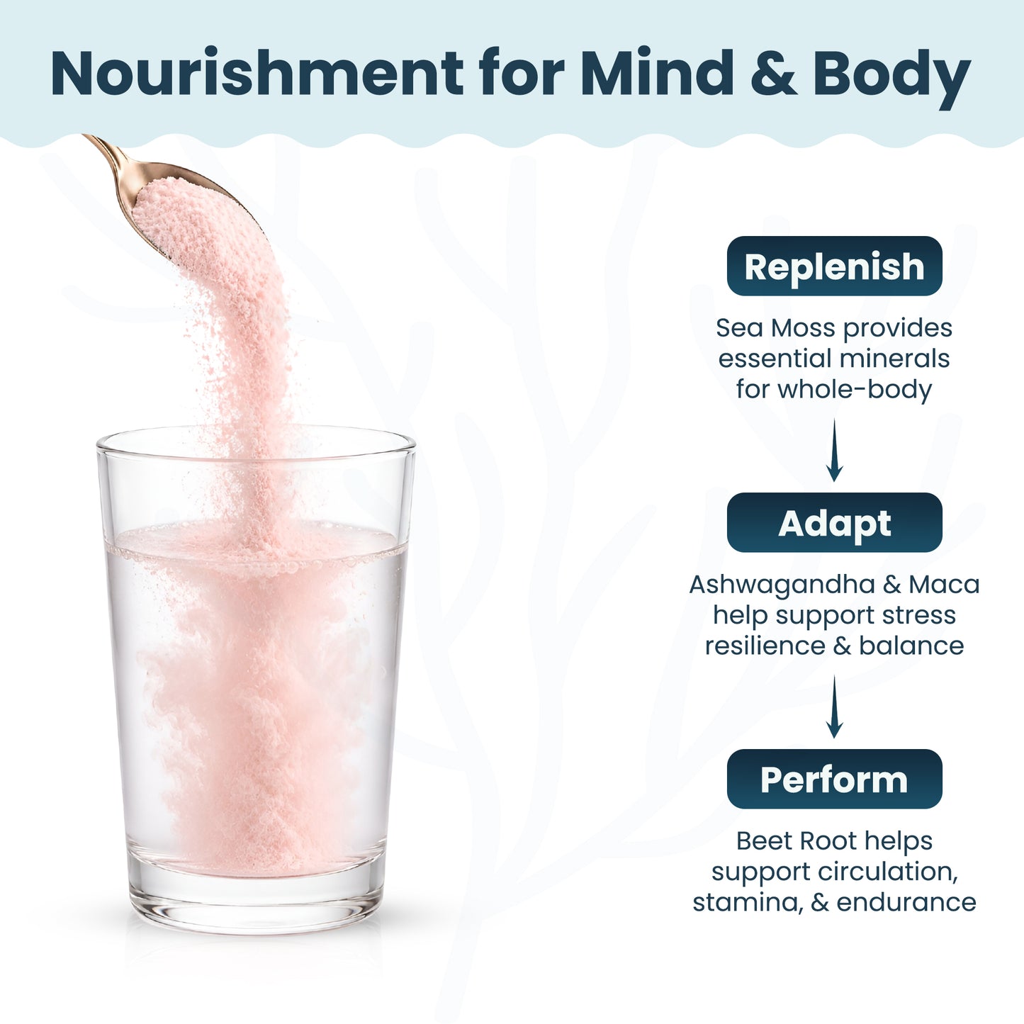Organic Sea Moss Superfood Powder with Ashwagandha, Beet Root & Maca