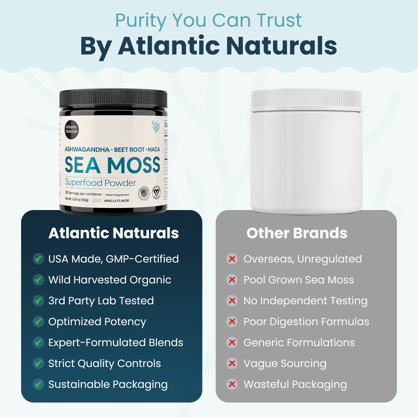 Organic Sea Moss Superfood Powder with Ashwagandha, Beet Root & Maca