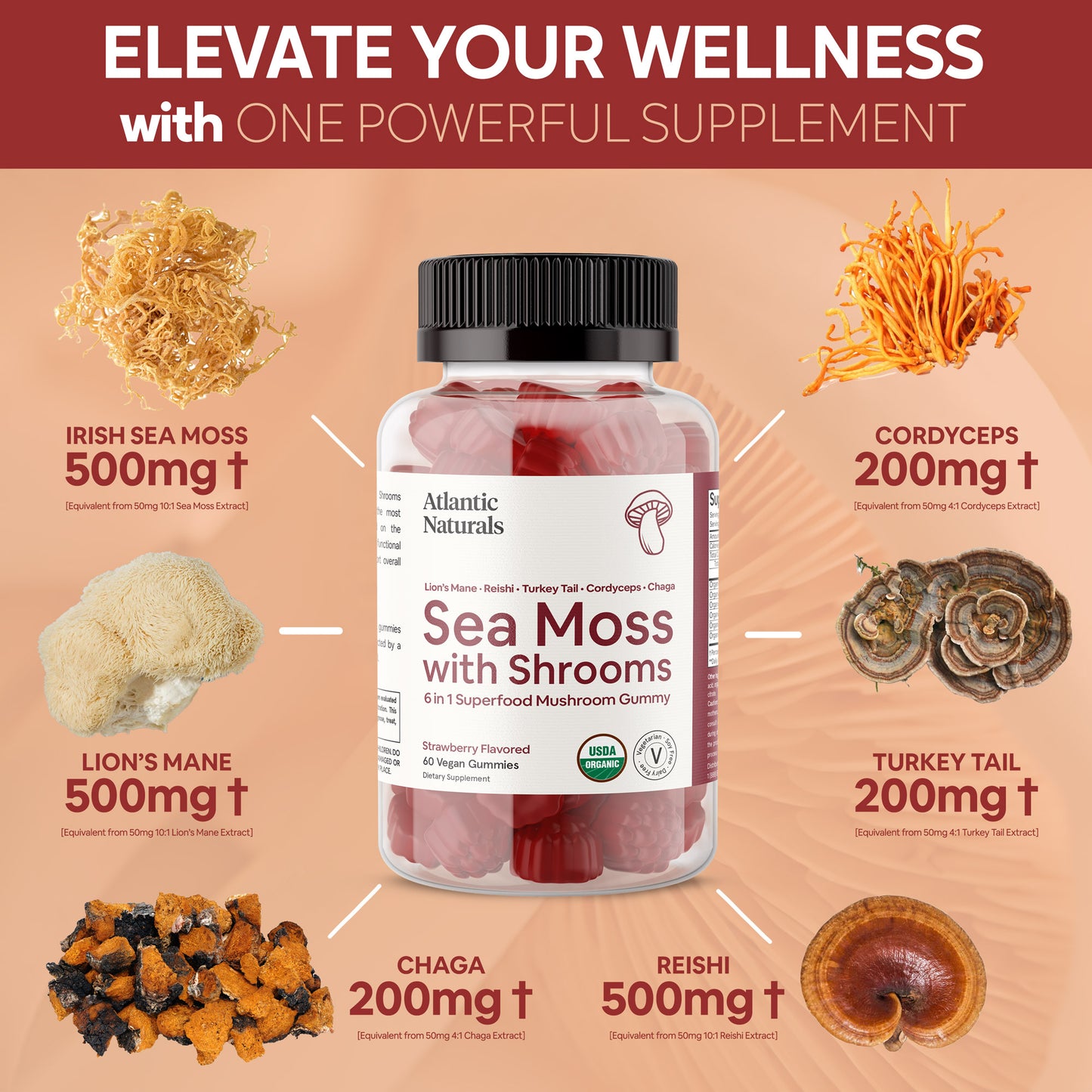 Sea Moss with Shrooms 6 in 1 Gummy