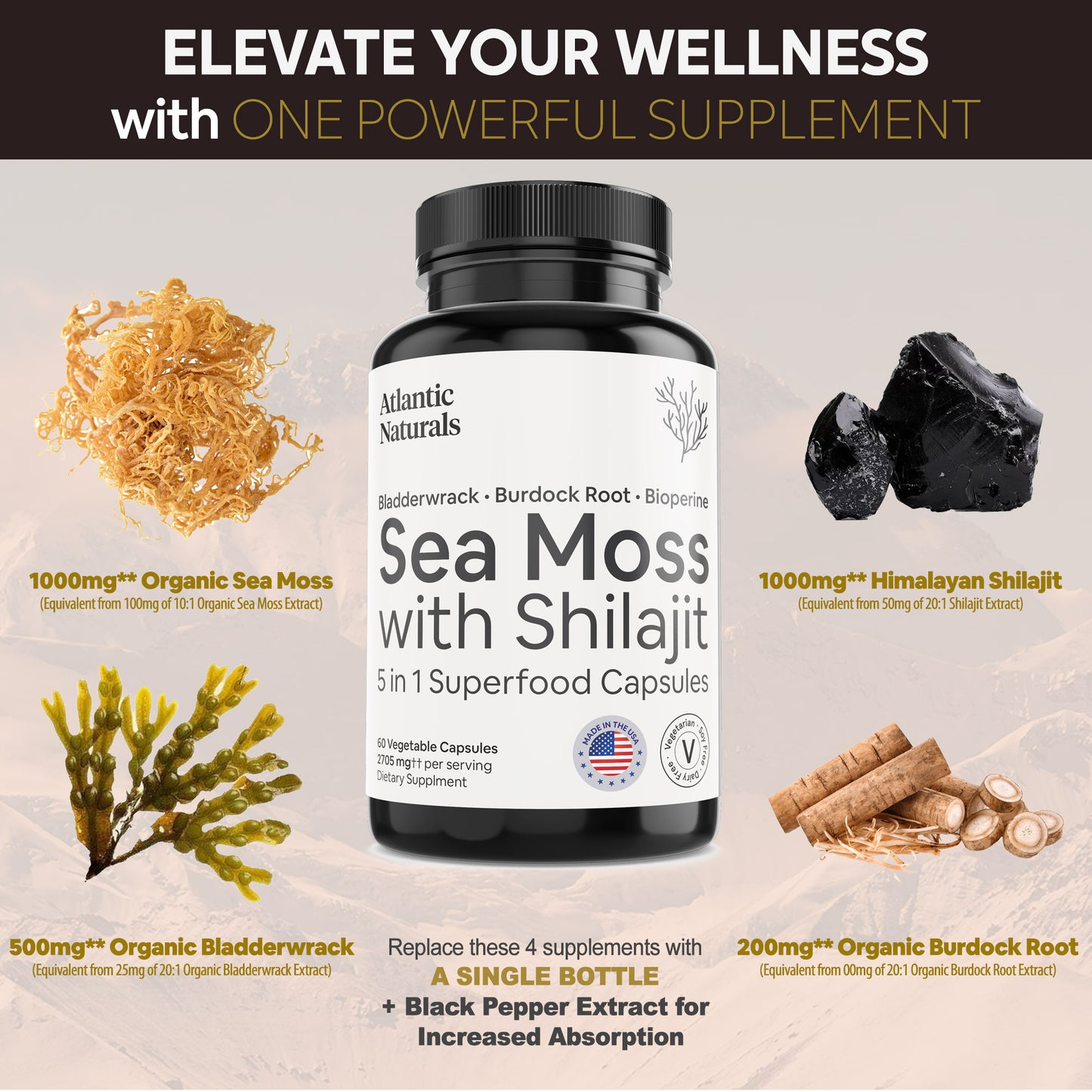 Sea Moss with Shilajit | 5 in 1 Superfood Capsules